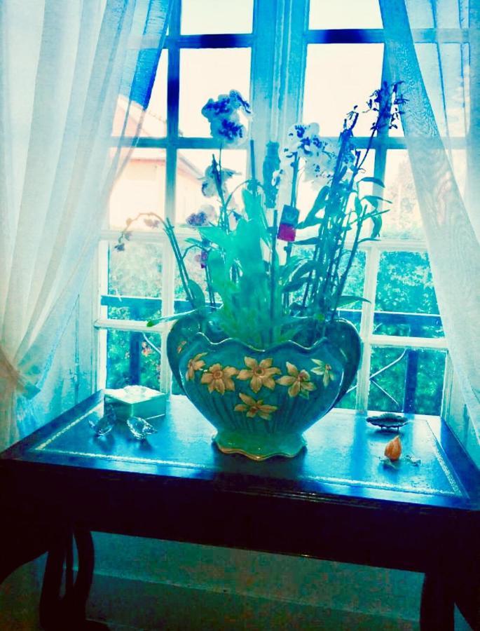 Les Reves D'Angele Bed and Breakfast Crain Buitenkant foto